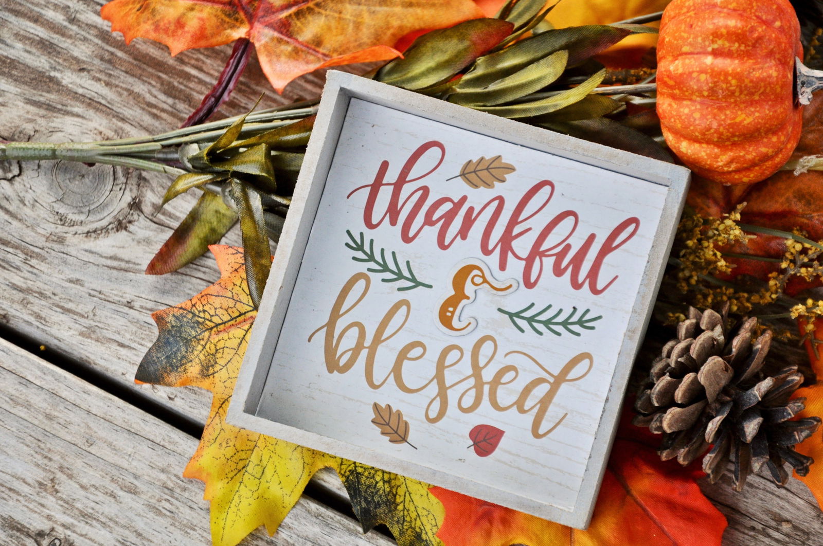 square white sign reading "thankful and blessed" sitting on colorful leaves and other fall decor